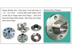 VIRAJ INDIA Stainless Flanges